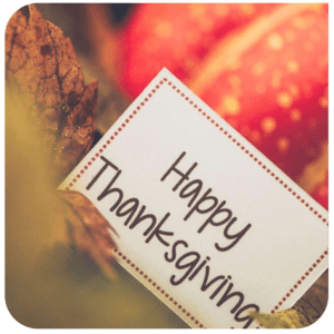 Thanksgiving Gratitude Meets Sustainability: A Season to Reflect