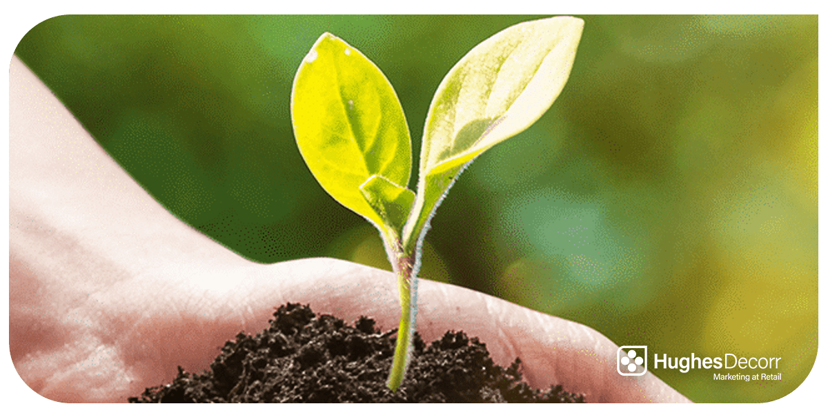 Sustainable Packaging That Delivers Performance Across The Supply Chain
